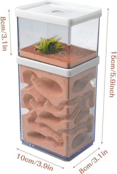 aleawol Natürliche Ameisenfarm Ameisennest Formicarium aus Gips Transparentes Ameisenhaus Ameisen Zu