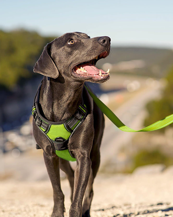 Joytale Hundegeschirr Grosse Hunde, reflektierendes Geschirr Hund, luftdurchlässige Anti Zug Hundege