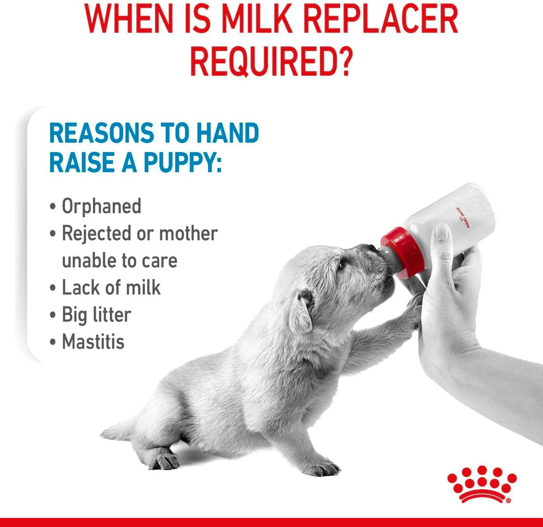 Royal Canin Babydog Milk | 2000 g | Welpen Milch in Pulverform | Zur Unterstützung des Verdauungssys
