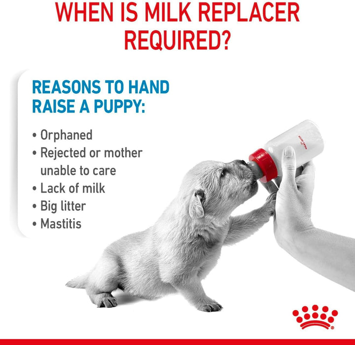 Royal Canin Babydog Milk | 2000 g | Welpen Milch in Pulverform | Zur Unterstützung des Verdauungssys