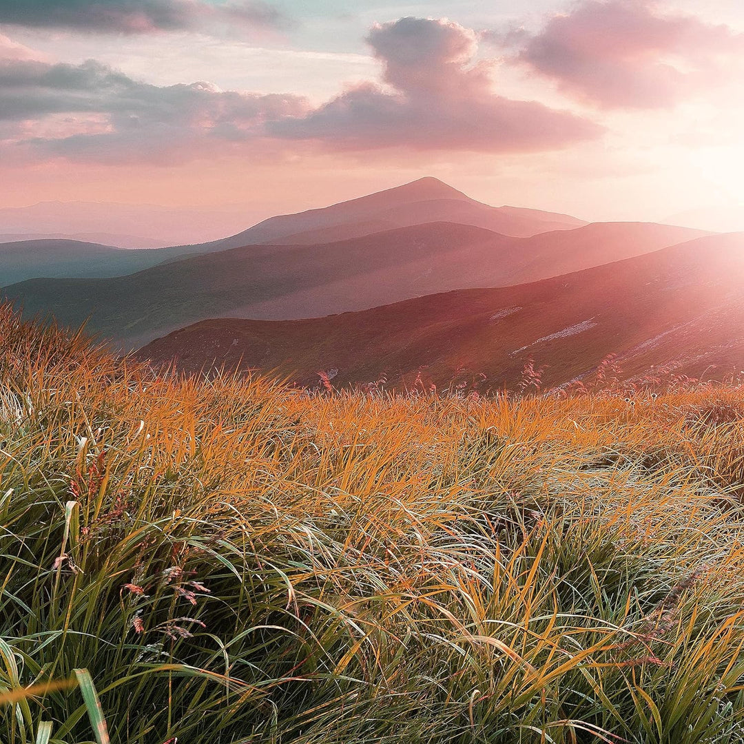 Runa Art Wandbilder Sonnenaufgang Landschaft 5 Teilig Bild auf Vlies Leinwand Deko Schlafzimmer Wohn