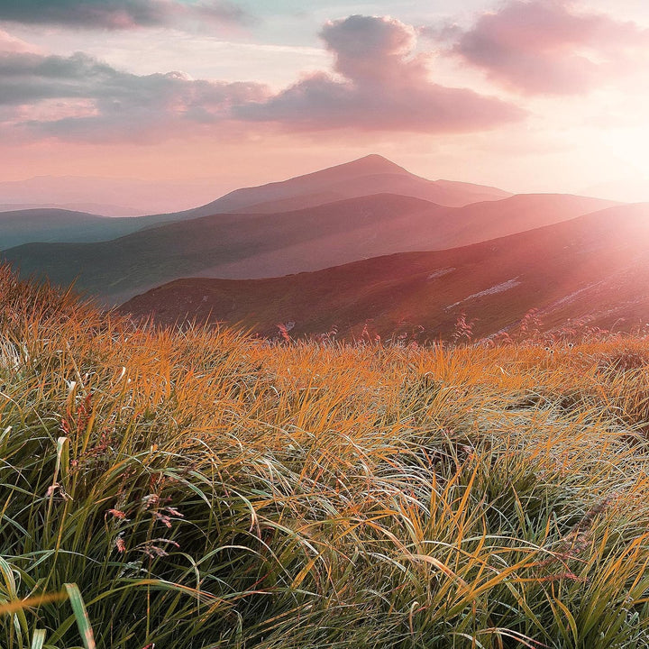 Runa Art Wandbilder Sonnenaufgang Landschaft 5 Teilig Bild auf Vlies Leinwand Deko Schlafzimmer Wohn