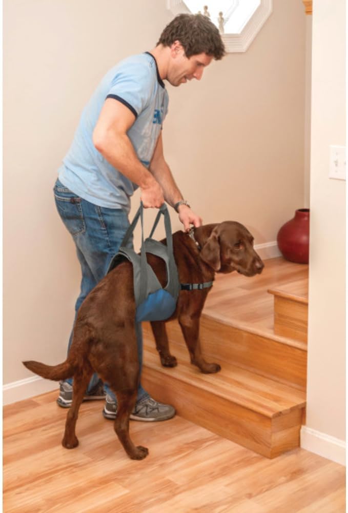 Kurgo Up and About Hebegeschirr für Hunde, ergonomisches Design, Hilft dem Hund beim Treppensteigen