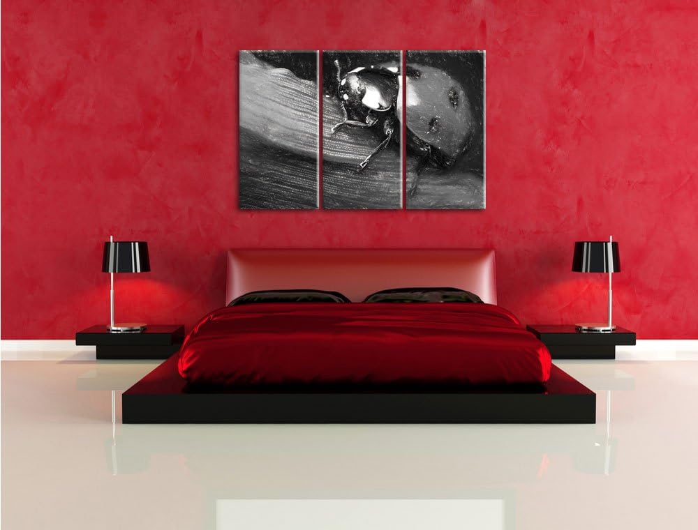 Pixxprint Marienkäfer in Detailaufnahme Kunst Kohle Effekt 3-Teiler Leinwandbild 120x80 Bild auf Lei