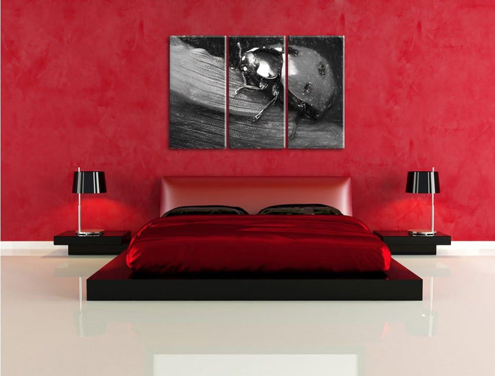 Pixxprint Marienkäfer in Detailaufnahme Kunst Kohle Effekt 3-Teiler Leinwandbild 120x80 Bild auf Lei