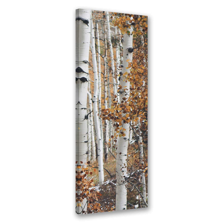 Feeby Leinwand Bilder - Natur - Wald - 60x150 cm- Deko Wohnzimmer - Wandbilder Schlafzimmer - Deko A