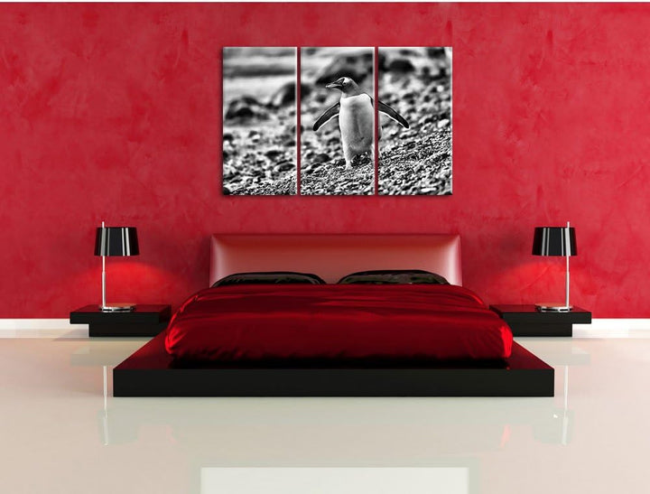 Pinguine als Leinwandbild | Grösse: 3 Teilig (120x80) | Wandbild| Kunstdruck | fertig bespannt