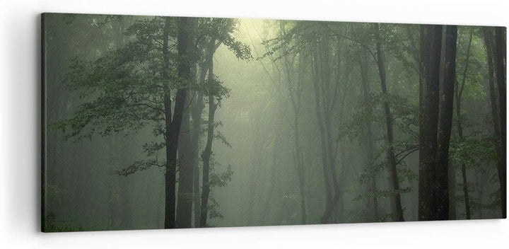 Wandbilder Dekoration Wohnzimmer Wald Nebel Baum Panorama Bilder auf Leinwand 120x50cm Leinwandbild