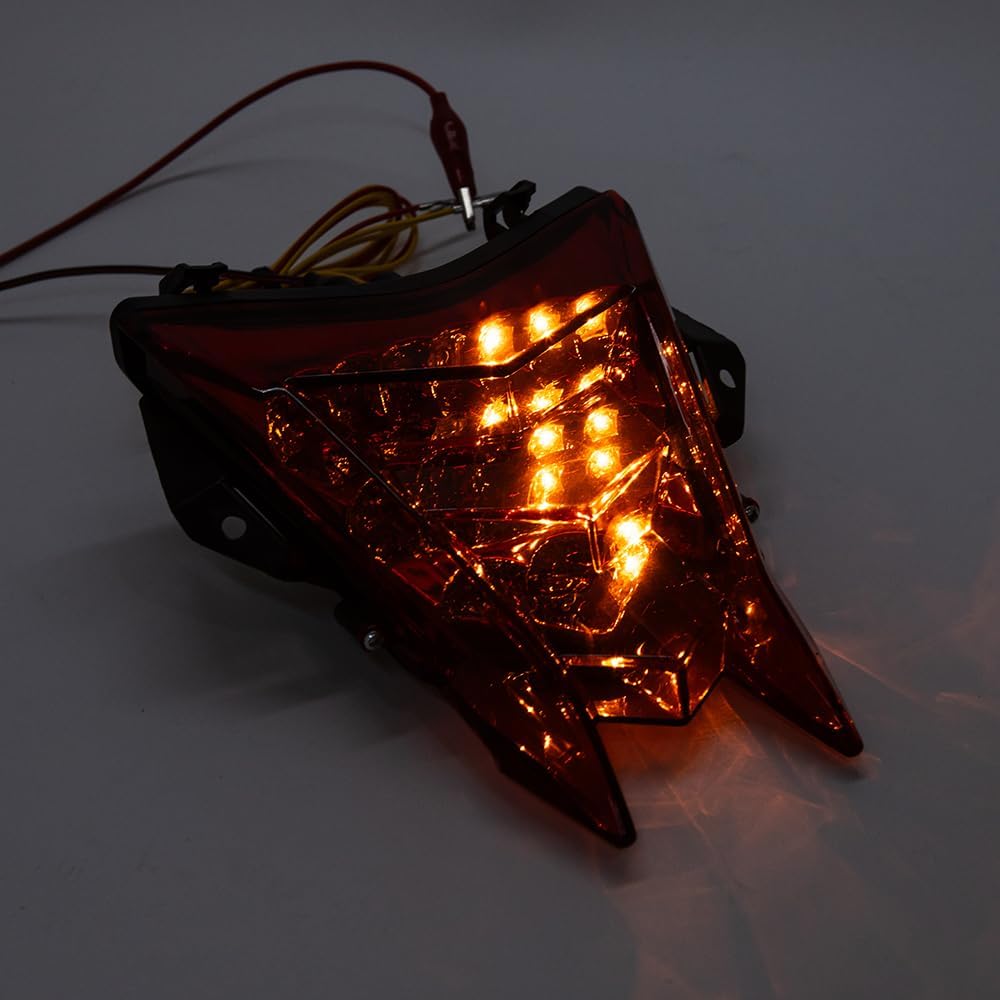 12V Motorrad Rücklicht LED Bremslicht Kennzeichenbeleuchtung Rotlicht Kompatibel mit HP4 S1000R S100