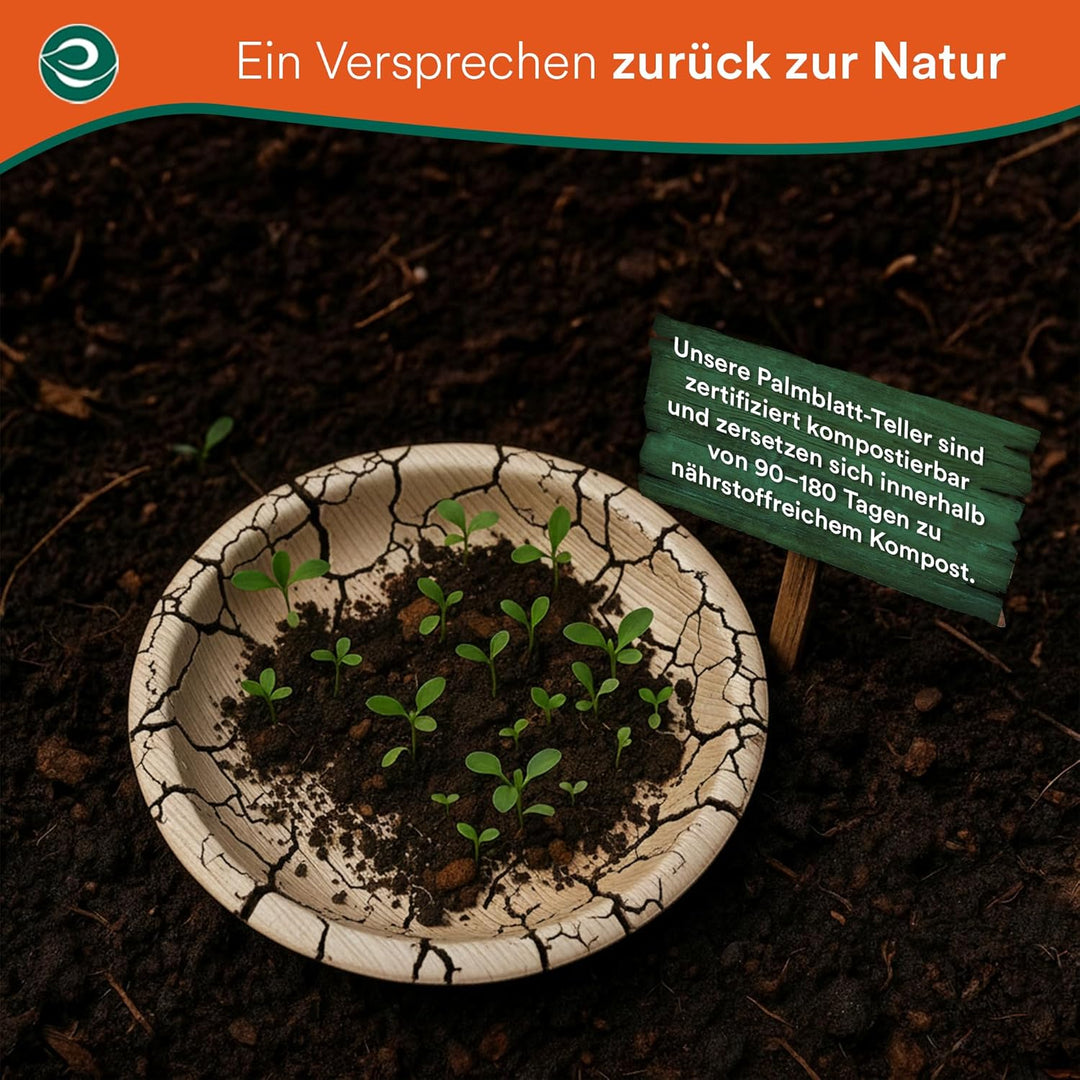 ECO SOUL 100% kompostierbare 15 cm, runde Palmblatt Teller [50 Stück] I Premium Palmblatt Geschir I
