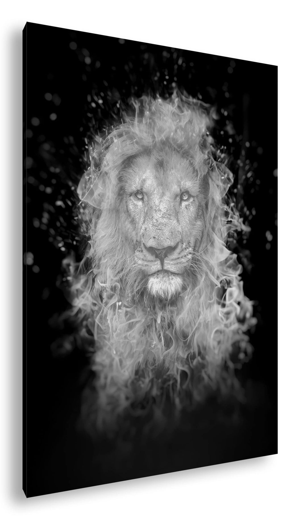 deyoli feuriger Löwe Format: 80x60 Effekt: Schwarz&Weiss als Leinwandbild, Motiv fertig gerahmt auf
