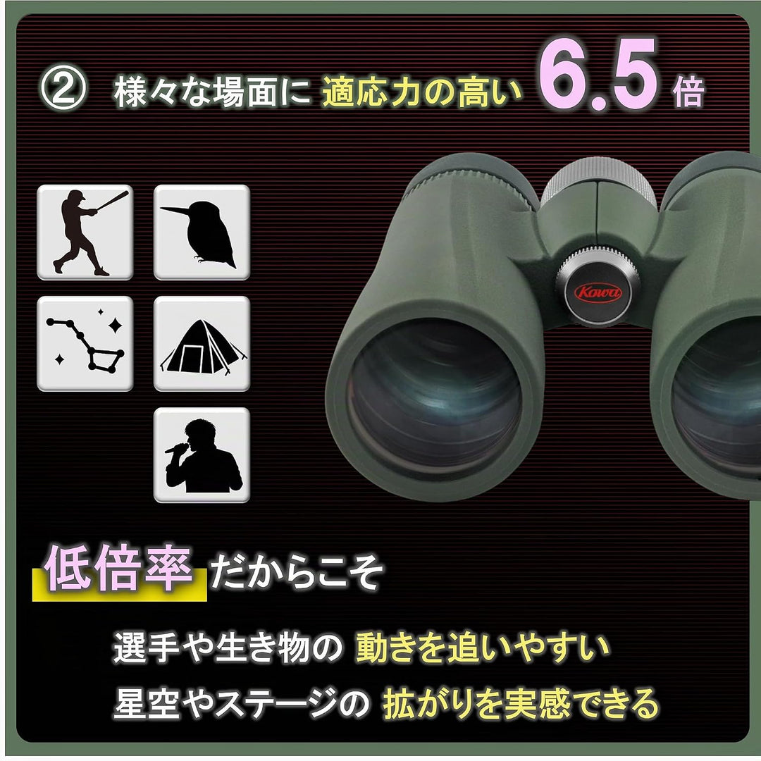 KOWA BD II 6.5X32 XD/ED-Fernglas mit sehr grossem Sehfeld. Robust und dennoch leicht. Wasserdicht, s