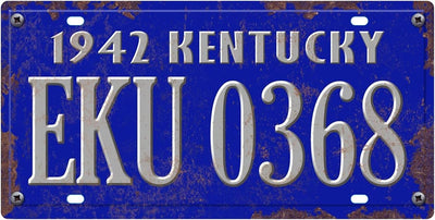 - 1940er / 50er Jahre USA Autokennzeichen 10er-Pack - Nachbildung echter amerikanischer Kennzeichen