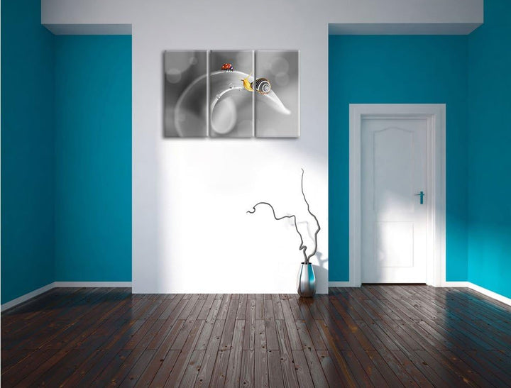 Pixxprint eine Schnecke und Marienkäfer auf Einer Pflanze B&W Detail 3-Teiler Leinwandbild 120x80 Bi