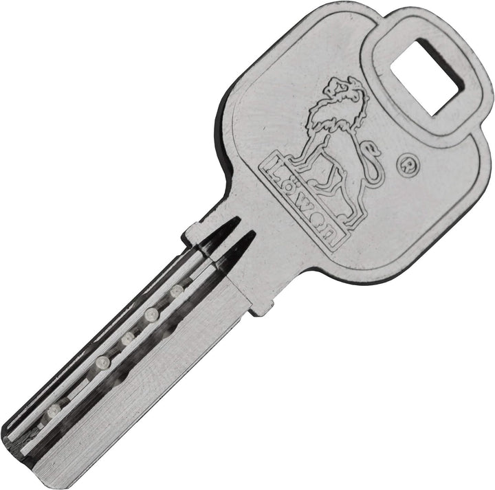 Gleichschliessende Schliesszylinder 60 mm (30/30 mm) inkl. 3 Schlüssel pro Zylinder (Zylinderanzahl