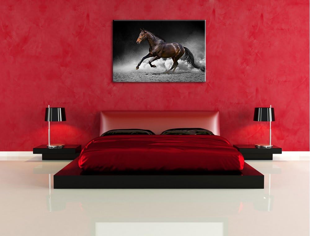 prächtiger Hengst im Sand schwarz/weiss Format: 100x70 auf Leinwand, XXL riesige Bilder fertig gerah