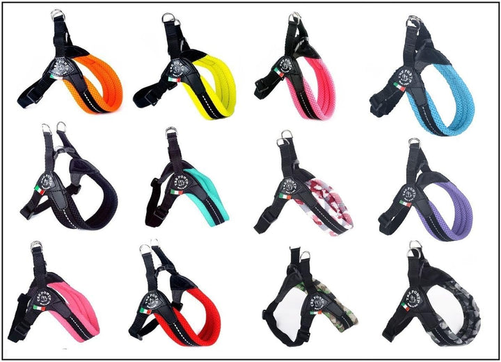 TRE Ponti RR202AR Easy Fit Mesh Classic Neon, Grösse 2, orange neon orange Gr.2 / 35-49 cm / bis 5 k