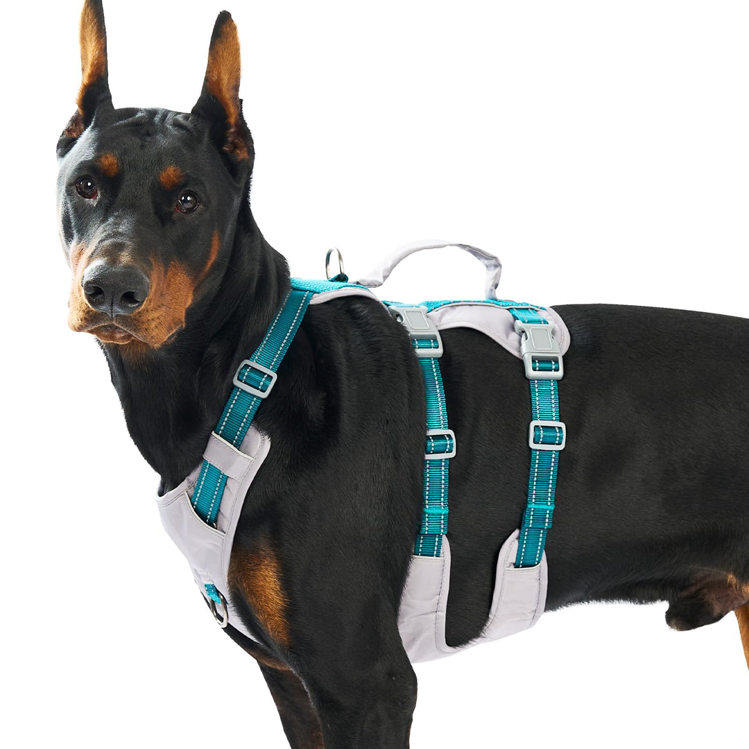 Huntboo Sicherheitsgeschirr Hund Ausbruchsicher, Panikgeschirr für Hunde, Reflektierendes Geschirr H