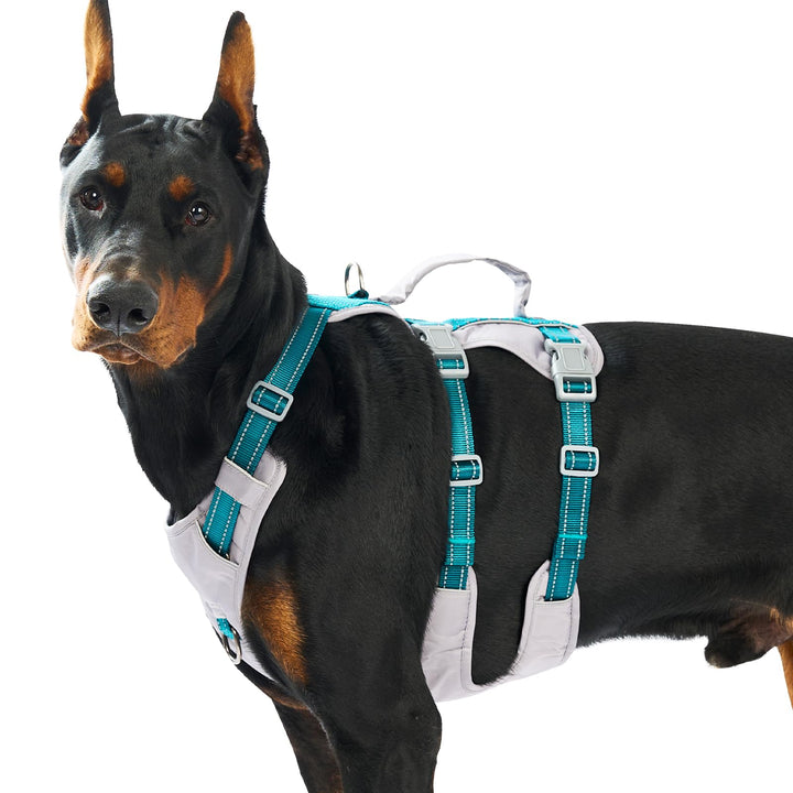 Huntboo Sicherheitsgeschirr Hund Ausbruchsicher, Panikgeschirr für Hunde, Reflektierendes Geschirr H