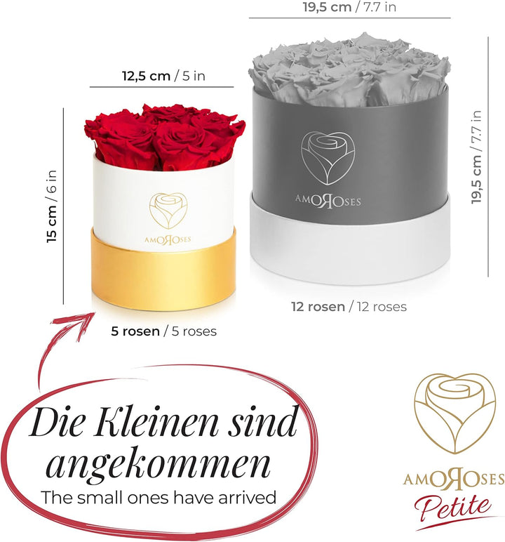 Amoroses Petite - Geschenkbox 5 ewige stabilisierte Rosen - Eleganter Strauss echter Blumen | Gesche
