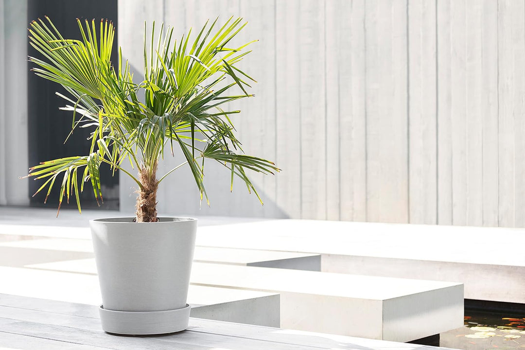 Ecopots Untersetzer rollbar für Blumentopf Amsterdam Weiss Grau Durchmesser innen 47 cm/aussen 51 cm