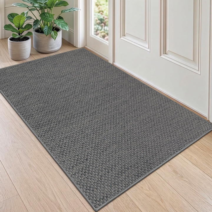 DEXI Schmutzfangmatte Innen 90 x 140 cm, rutschfest Fussmatte waschbar, absorbierend Fussmatte, Dünn