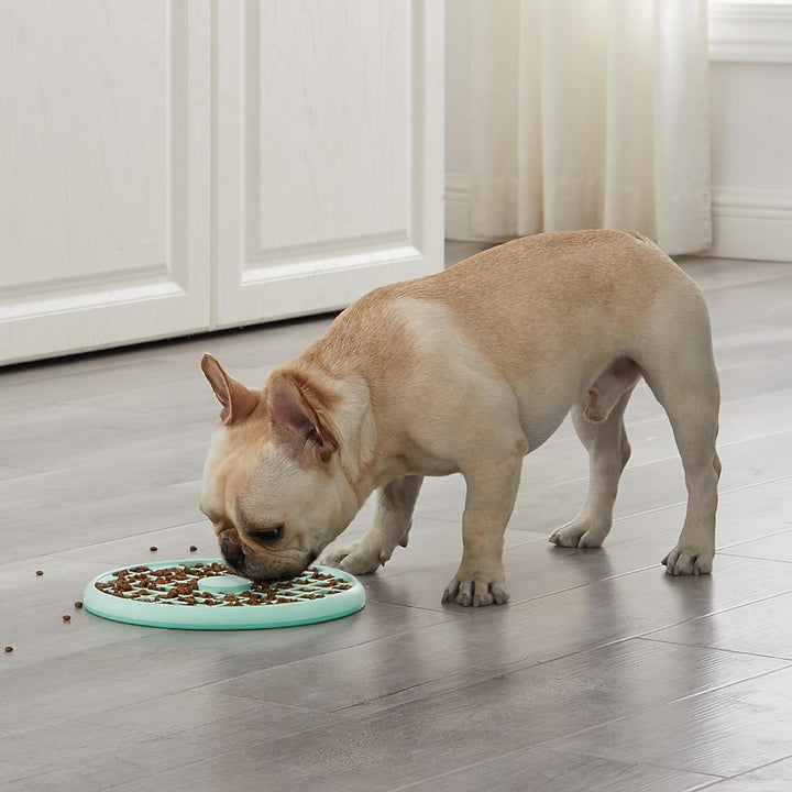 Outward Hound Fun Feeder Slo Tray Slow Feeder Hundenapf für Französische Bulldoggen und andere brach