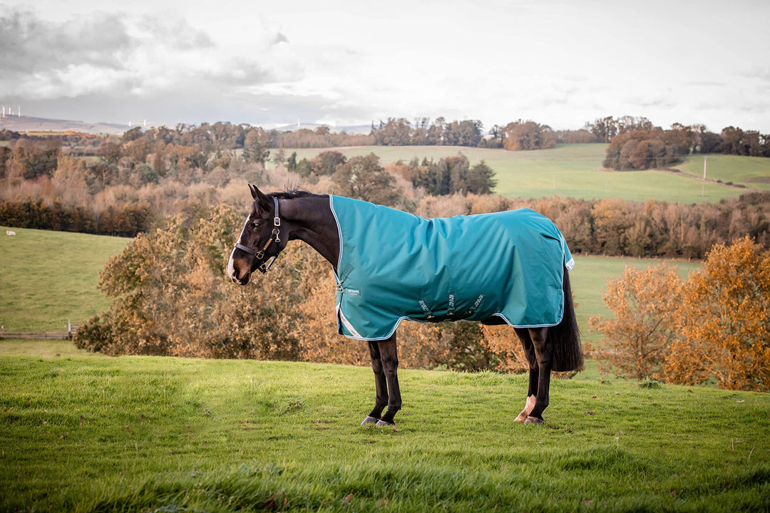 Horseware Amigo Bravo Turnout 12 Wug lite Storm Green Grösse wählbar 115, 115