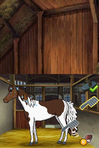 Das grosse Unwetter - [Nintendo DS]