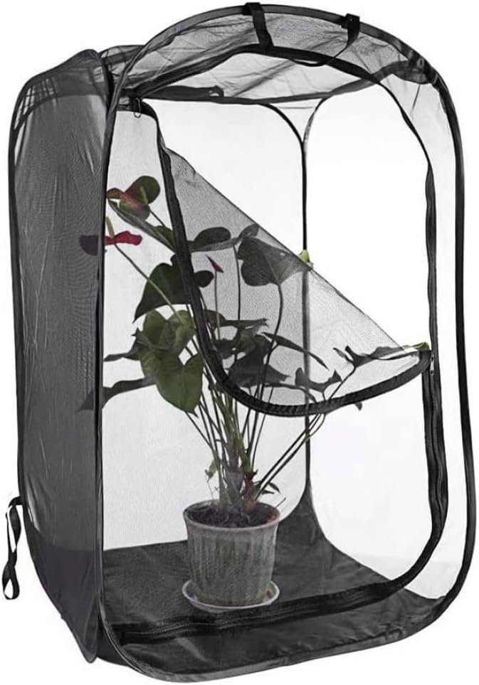 Schmetterlingskäfig, 61 x 61 x 89 cm, zusammenklappbares transparentes Haus mit Reissverschluss und