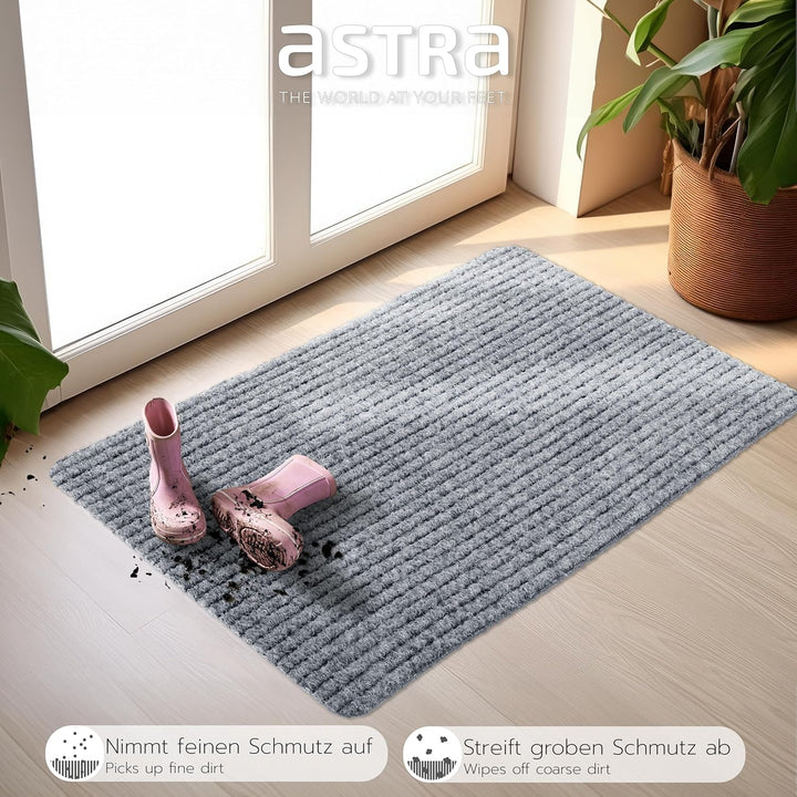 Astra Fussmatte innen Silber Schmutzfangmatte rutschfest – Türmatte 40x60 cm wasserabweisend – Rib L