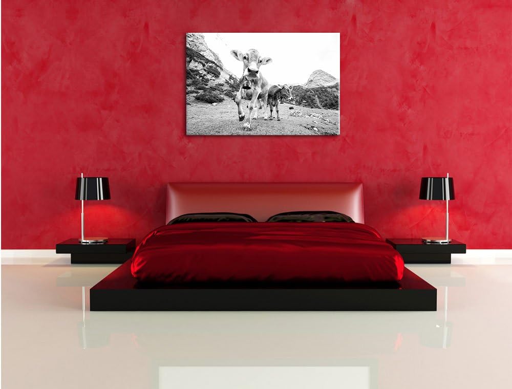 Pixxprint Almkuh auf der Weide Kunst B&W als Leinwandbild/Grösse: 100x70 / Wandbild/Kunstdruck/ferti