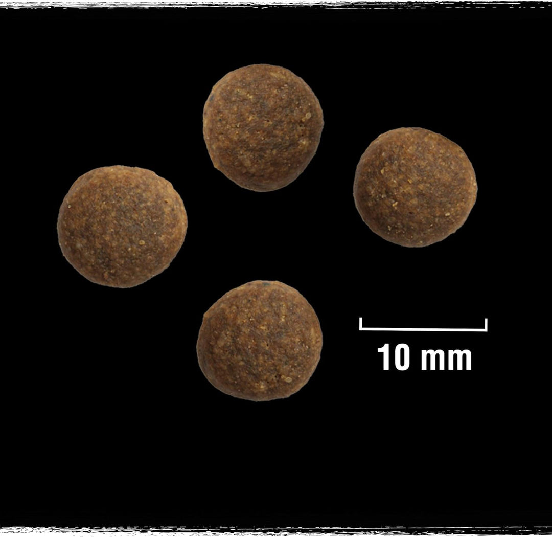 CRAVE Trockenfutter für ausgewachsene Hunde mit Truthahn & Huhn, 6 Beutel à 1 kg – Trockenfutter ohn