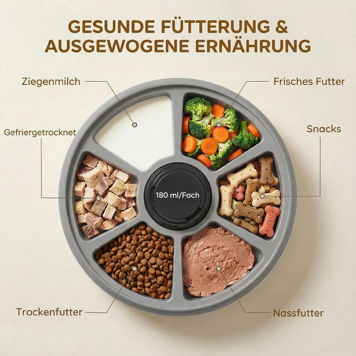 PawHut Futterautomat, automatischer kabelloser Futterspender mit programmierbarer Timer bis zu 6 Mah