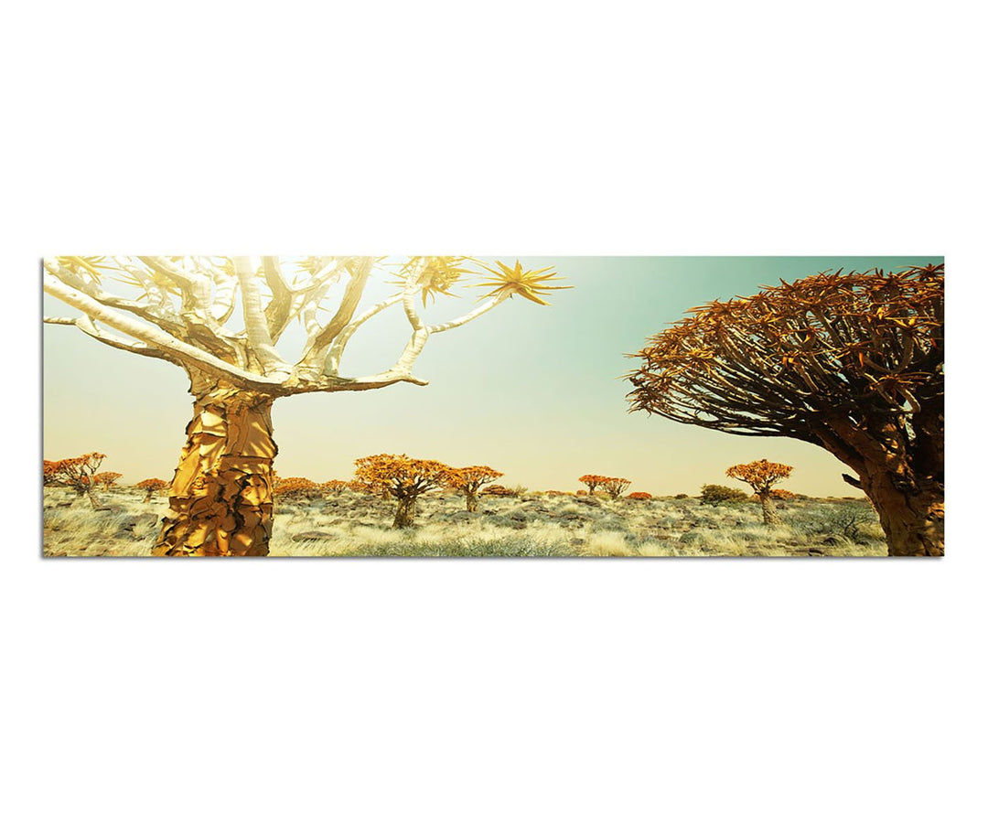 Paul Sinus Art Panoramabild auf Leinwand und Keilrahmen 150x50cm Afrika Wiese Bäume Sonnenstrahlen W