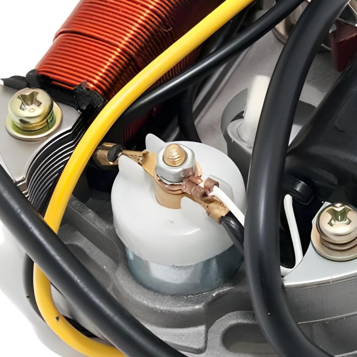 Lichtmaschine / Zündung 6V 15W für Maxi Mofa