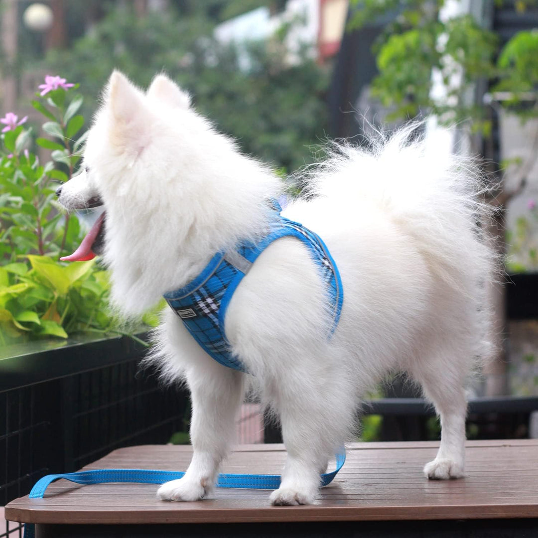 Suredoo Hundegeschirr Kleine Hunde mit Leine, Anti Zug Geschirr Reflektierend Atmungsaktiv Brustgesc