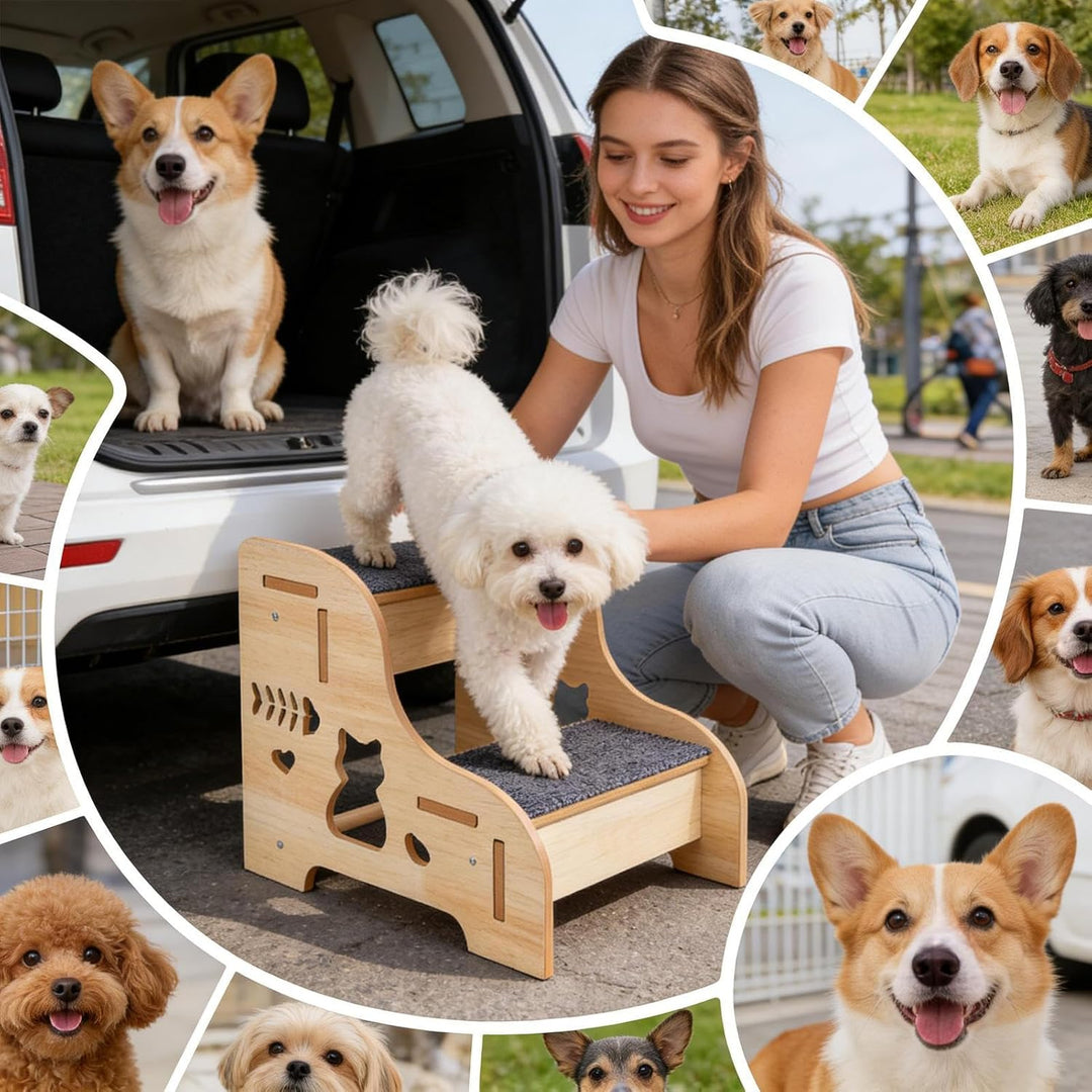 Hundetreppe 2 Stufen, Haustiertreppe Holz, rutschfeste Hunde Rampe Kletterhilfe, Für Klein Hunde Hoh