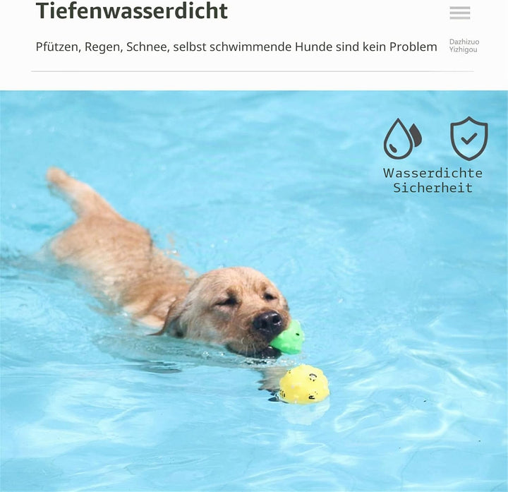 Generisch Trainingsequipment, 2025 Neuheit Erziehungshilfen für Hunde,Einfach und leicht zu handhabe