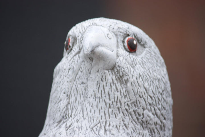 stoneandstyle Steinfigur Falke, Frost- und wetterfest bis -30°C, massiver Steinguss, Adler