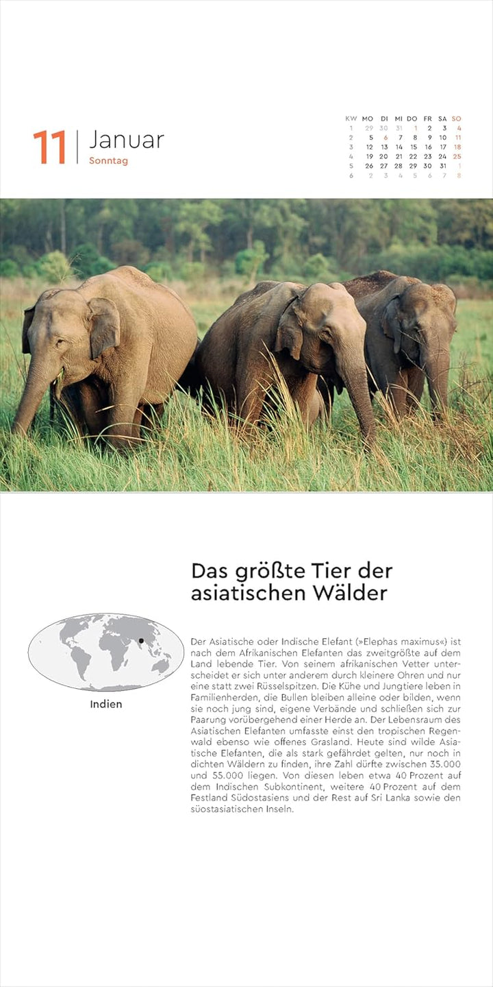 Rekorde der Welt - KUNTH 365-Tage-Abreisskalender 2026: Tägliche Inspiration in Bild und Text. Kalen
