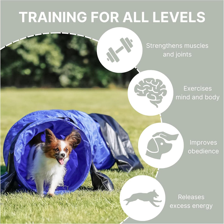 TRIXIE Hunde Agility Tunnel - Hundetunnel für das Agility Training mit grossen Hunden – für Anfänger
