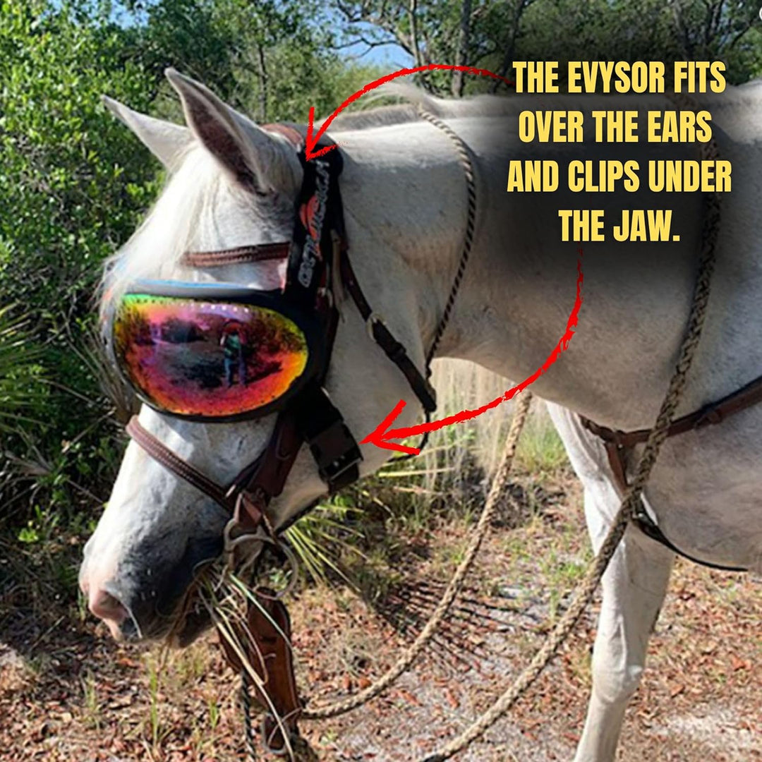 EQUICK Brille Pferd eVysor