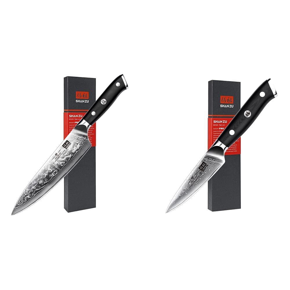 SHAN ZU Damastmesser Kochmesser 67 Schichten Damaststahl Küchenmesser mit G10 Griff 20CM & Damast Sc