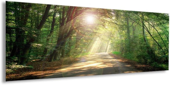 artissimo, Glasbild, 80x30cm, AG4071A, Lichtung, Bild aus Glas, moderne Wanddekoration aus Glas, Wan