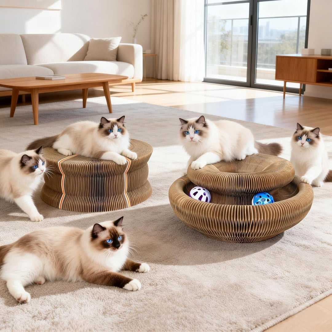 Kratzbrett Katze, 2-in-1 Cat Kratzbrett mit Glöckchen, Magische Orgel Cat Scratching Board, Zusammen