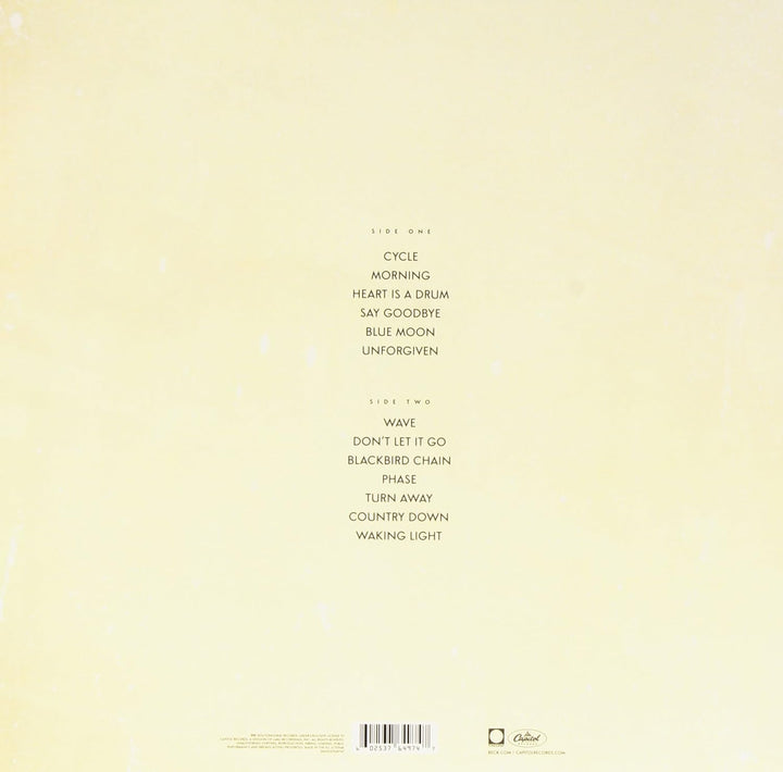 Morning Phase, Vinyl