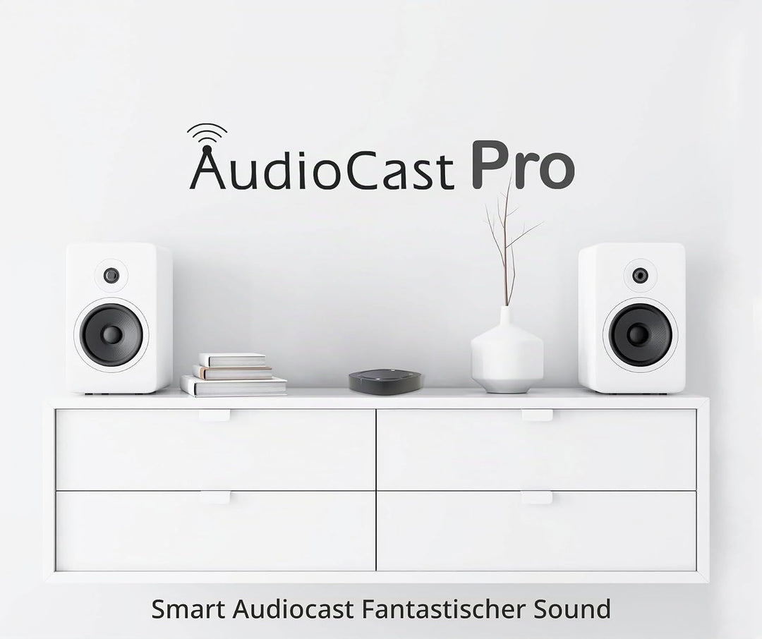 Audiocast Wireless WiFi Audio Receiver Multiroom Adaptor for Speaker Systems Convert Wired Speakers