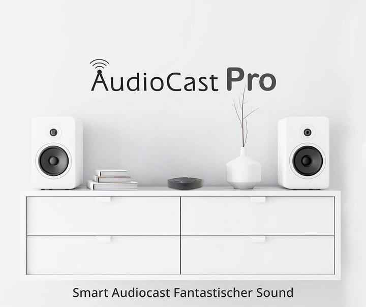 Audiocast Wireless WiFi Audio Receiver Multiroom Adaptor for Speaker Systems Convert Wired Speakers