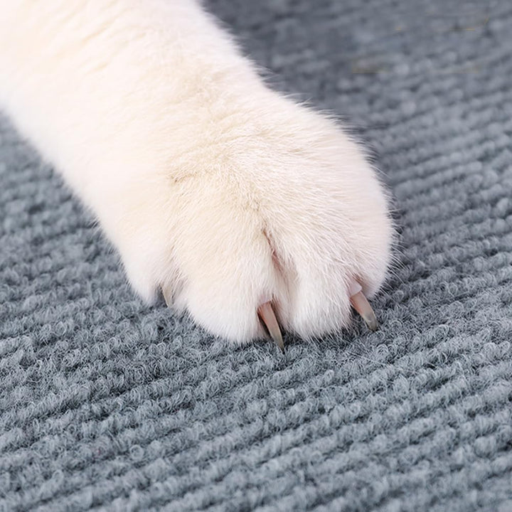 Kratzmatte Selbstklebend Katze Kratzbrett Kratzwand DIY Kratzteppich Katzenkratzer Kleber Möbelschut